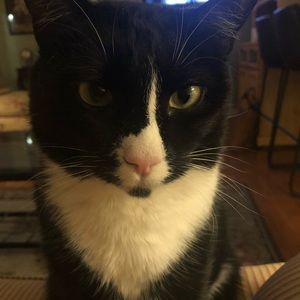 Meet your Posher, Janice